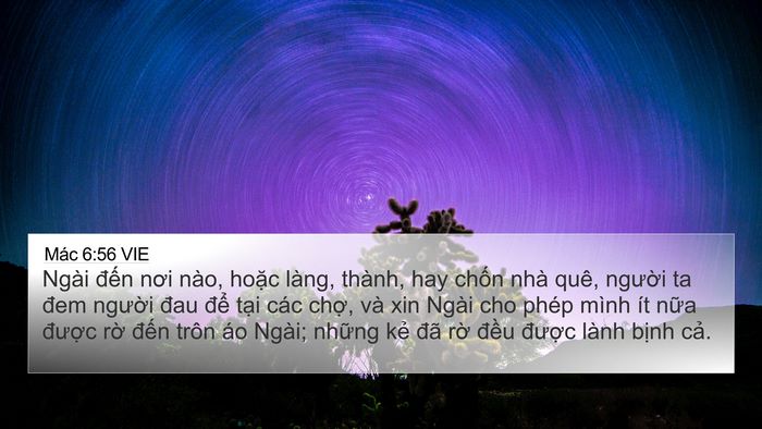 Mác 6:56 VIE Bible Verse Image