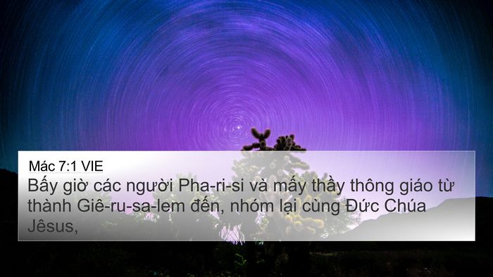 Mác 7:1 VIE Bible Verse Image