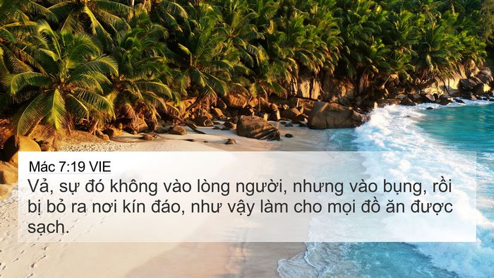 Mác 7:19 VIE 4K Wallpaper - Vả, sự đó không vào lòng người, - 4K Wallpaper Bible Verse