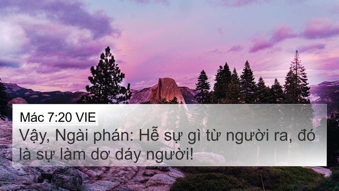 Mác 7:20 VIE Bible Verse Image