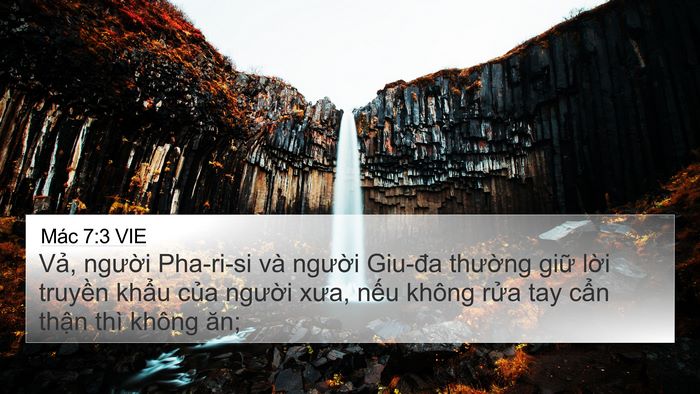 Mác 7:3 VIE Bible Verse Image