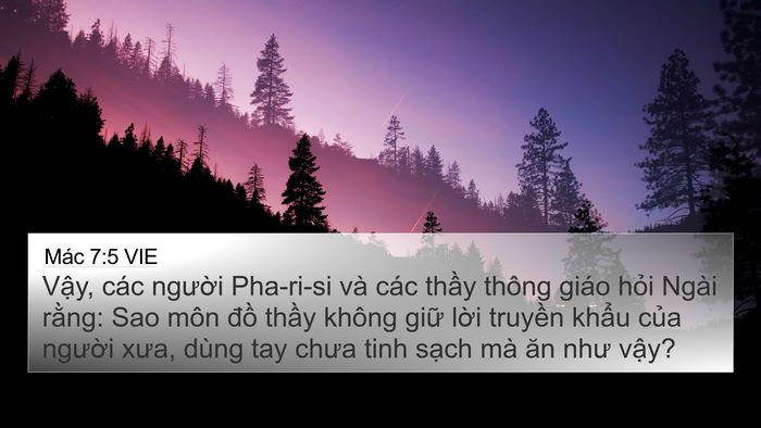 Mác 7:5 VIE Bible Verse Image