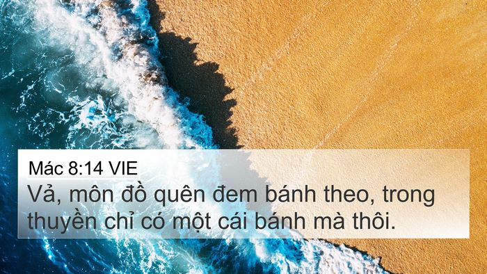 Mác 8:14 VIE 4K Wallpaper - Vả, môn đồ quên đem bánh theo, trong - 4K Wallpaper Bible Verse