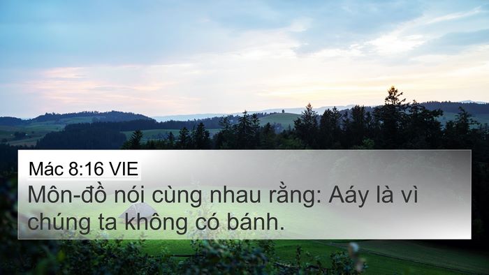 Mác 8:16 VIE Bible Verse Image