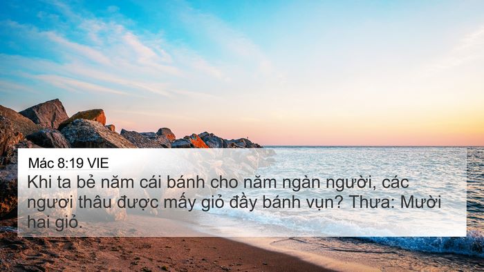 Mác 8:19 VIE Bible Verse Image