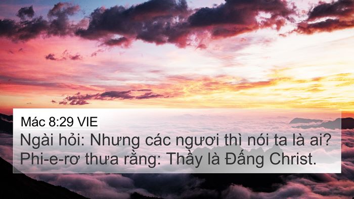 Mác 8:29 VIE Bible Verse Image