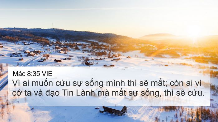 Mác 8:35 VIE Bible Verse Image