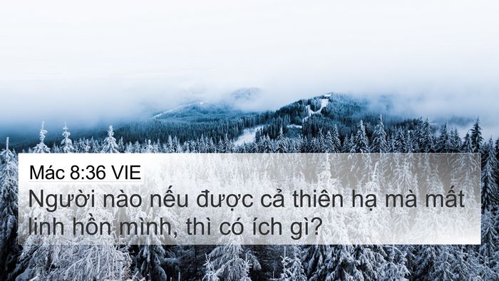 Mác 8:36 VIE Bible Verse Image