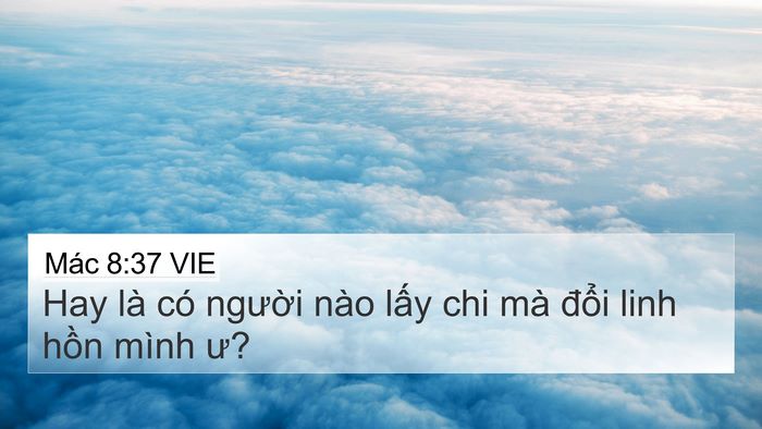 Mác 8:37 VIE 4K Wallpaper - Hay là có người nào lấy chi mà đổi - 4K Wallpaper Bible Verse