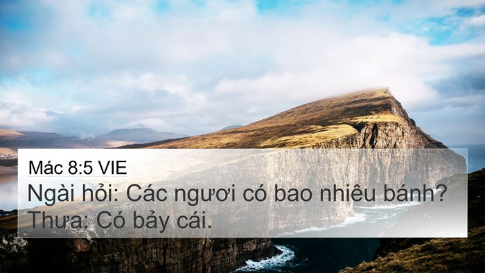 Mác 8:5 VIE Bible Verse Image