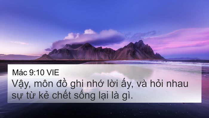 Mác 9:10 VIE Bible Verse Image