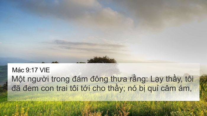 Mác 9:17 VIE Bible Verse Image