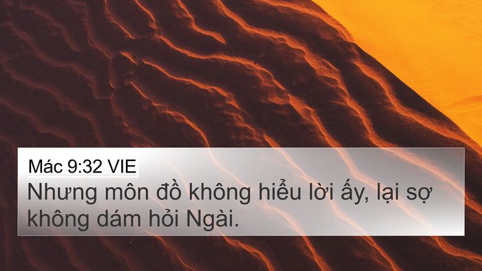 Mác 9:32 VIE Bible Verse Image