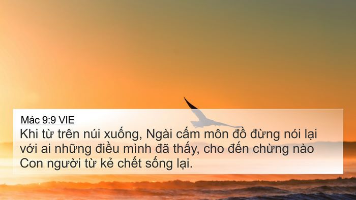 Mác 9:9 VIE Bible Verse Image