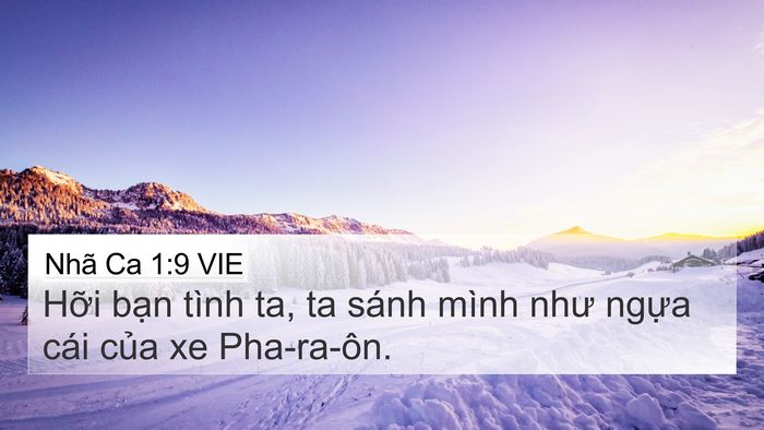 Nhã Ca 1:9 VIE 4K Wallpaper - Hỡi bạn tình ta, ta sánh mình như ngựa - 4K Wallpaper Bible Verse