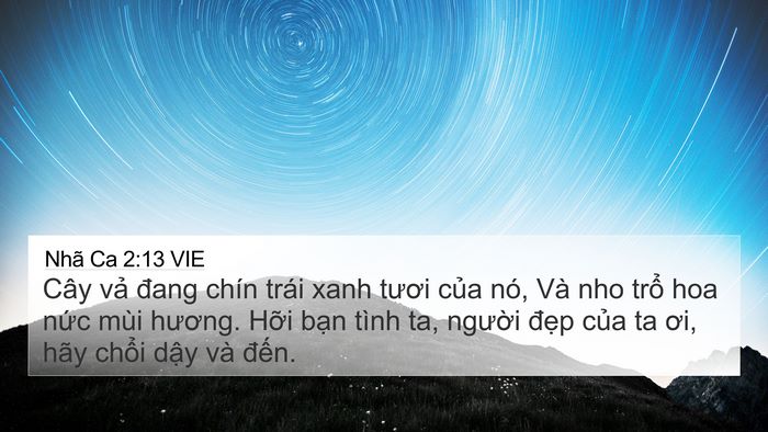 Nhã Ca 2:13 VIE Bible Verse Image
