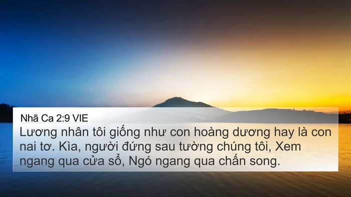 Nhã Ca 2:9 VIE Bible Verse Image