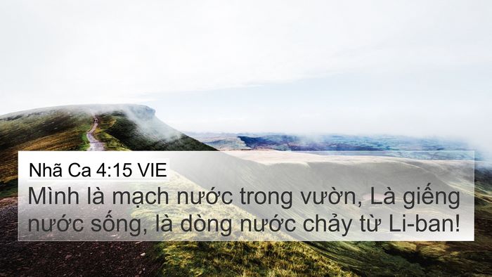 Nhã Ca 4:15 VIE Bible Verse Image