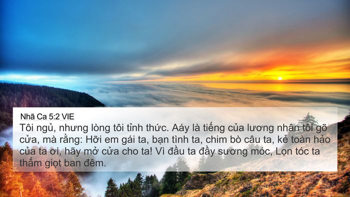 Nhã Ca 5:2 VIE Bible Verse Image