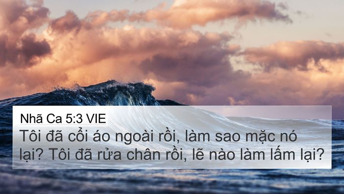 Nhã Ca 5:3 VIE 4K Wallpaper - Tôi đã cổi áo ngoài rồi, làm sao mặc - 4K Wallpaper Bible Verse