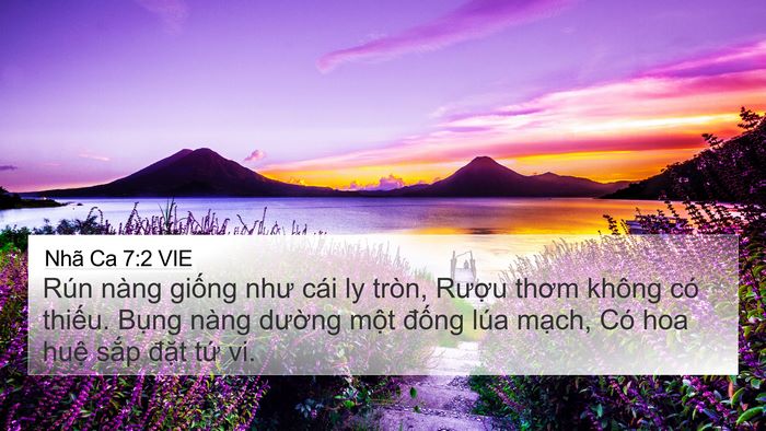 Nhã Ca 7:2 VIE 4K Wallpaper - Rún nàng giống như cái ly tròn, Rượu - 4K Wallpaper Bible Verse