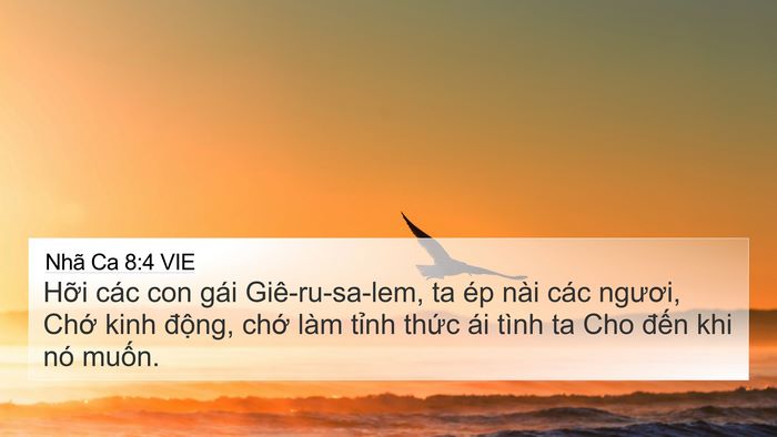 Nhã Ca 8:4 VIE Bible Verse Image