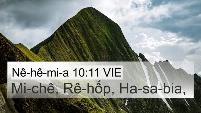 Nê-hê-mi-a 10:11 VIE 4K Wallpaper - Mi-chê, Rê-hốp, - 4K Wallpaper Bible Verse