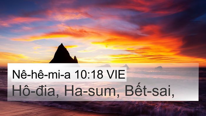 Nê-hê-mi-a 10:18 VIE 4K Wallpaper - Hô-đia, Ha-sum, - 4K Wallpaper Bible Verse