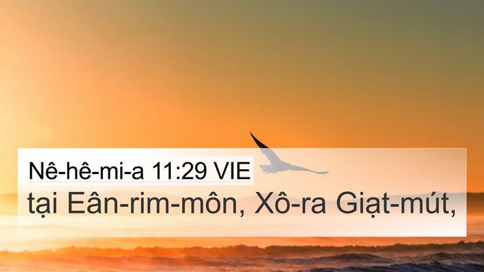 Nê-hê-mi-a 11:29 VIE Bible Verse Image