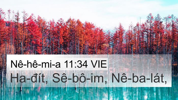 Nê-hê-mi-a 11:34 VIE Bible Verse Image