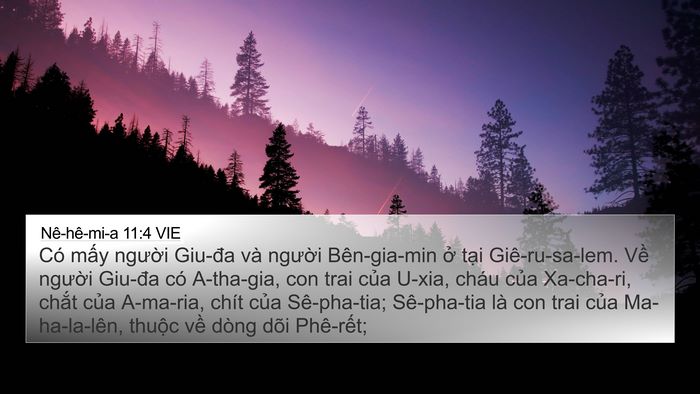 Nê-hê-mi-a 11:4 VIE 4K Wallpaper - Có mấy người Giu-đa và người - 4K Wallpaper Bible Verse