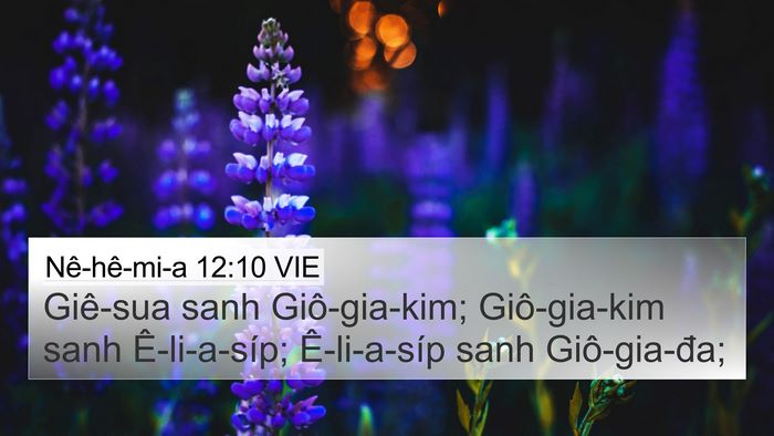 Nê-hê-mi-a 12:10 VIE Bible Verse Image