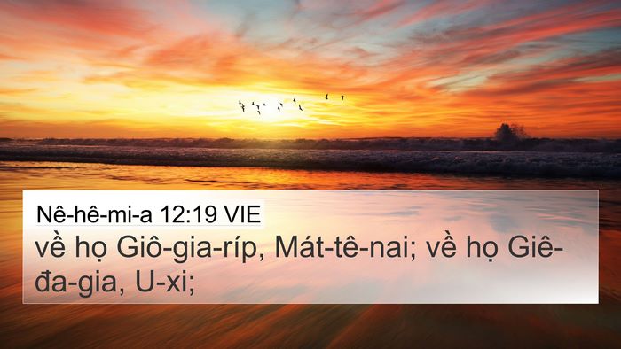 Nê-hê-mi-a 12:19 VIE Bible Verse Image