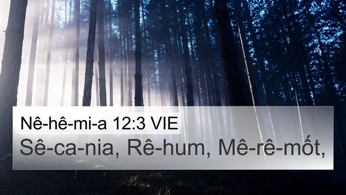 Nê-hê-mi-a 12:3 VIE Bible Verse Image