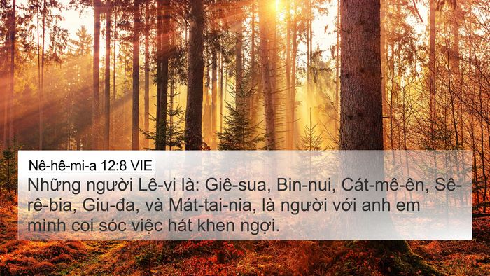 Nê-hê-mi-a 12:8 VIE Bible Verse Image