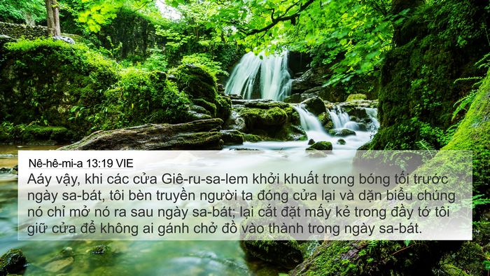 Nê-hê-mi-a 13:19 VIE Bible Verse Image