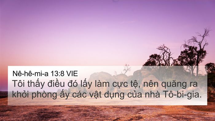 Nê-hê-mi-a 13:8 VIE Bible Verse Image