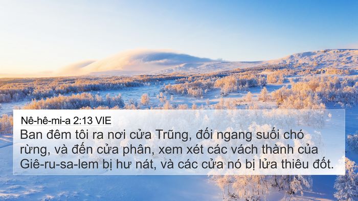 Nê-hê-mi-a 2:13 VIE Bible Verse Image