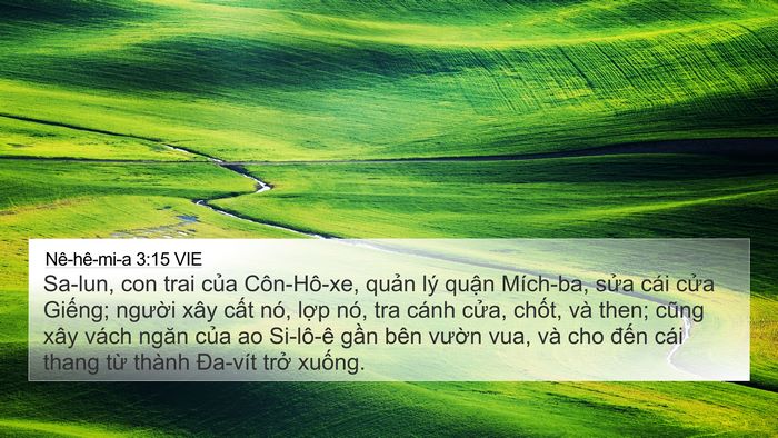 Nê-hê-mi-a 3:15 VIE Bible Verse Image