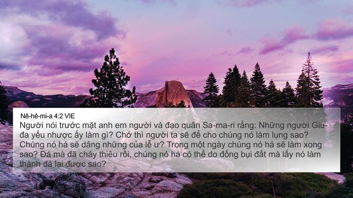 Nê-hê-mi-a 4:2 VIE Bible Verse Image