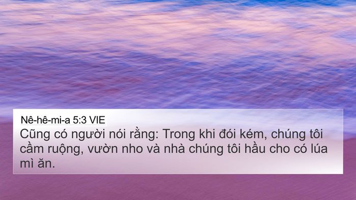 Nê-hê-mi-a 5:3 VIE 4K Wallpaper - Cũng có người nói rằng: Trong khi đói - 4K Wallpaper Bible Verse