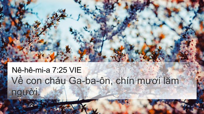Nê-hê-mi-a 7:25 VIE 4K Wallpaper - Về con cháu Ga-ba-ôn, chín mươi lăm - 4K Wallpaper Bible Verse