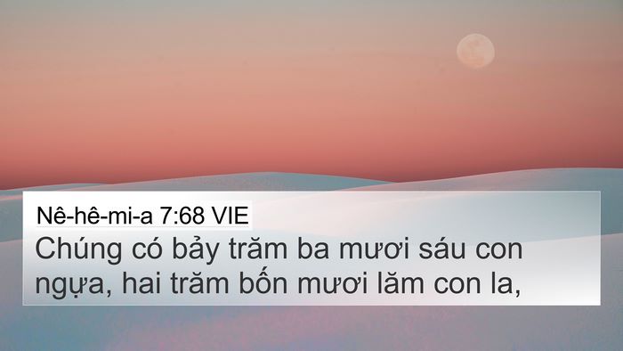 Nê-hê-mi-a 7:68 VIE 4K Wallpaper - Chúng có bảy trăm ba mươi sáu con ngựa, - 4K Wallpaper Bible Verse