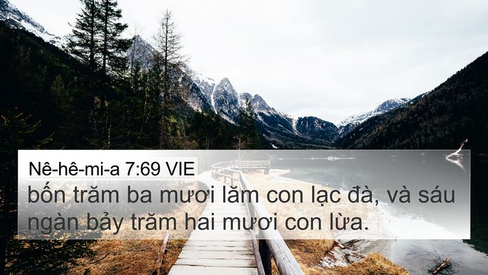 Nê-hê-mi-a 7:69 VIE 4K Wallpaper - bốn trăm ba mươi lăm con lạc đà, và - 4K Wallpaper Bible Verse