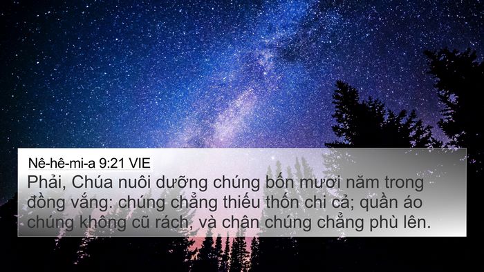 Nê-hê-mi-a 9:21 VIE Bible Verse Image
