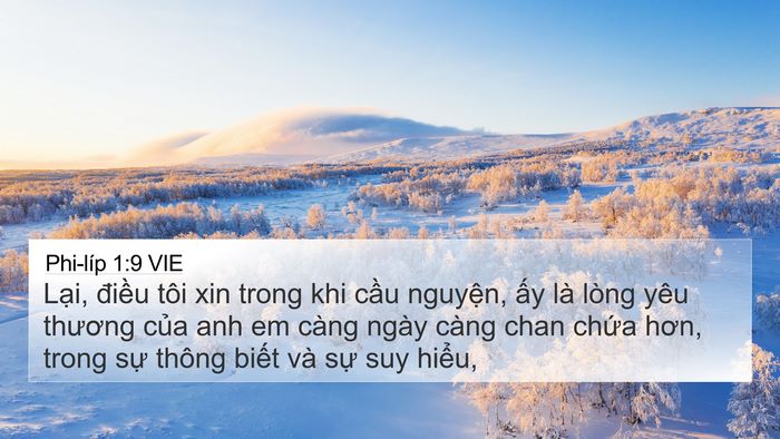 Phi-líp 1:9 VIE Bible Verse Image