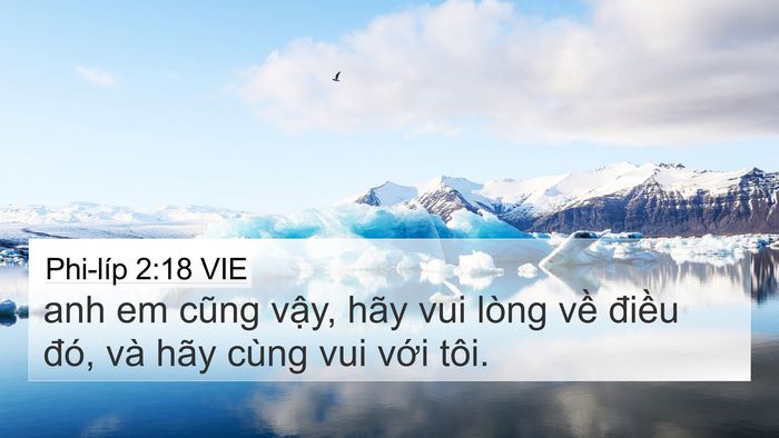 Phi-líp 2:18 VIE 4K Wallpaper - anh em cũng vậy, hãy vui lòng về điều - 4K Wallpaper Bible Verse