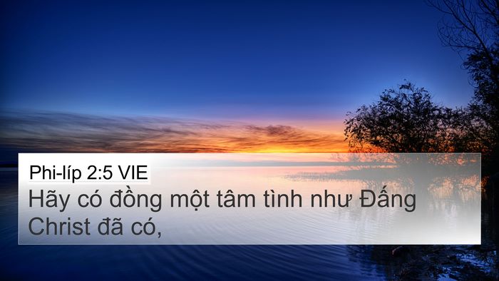Phi-líp 2:5 VIE Bible Verse Image