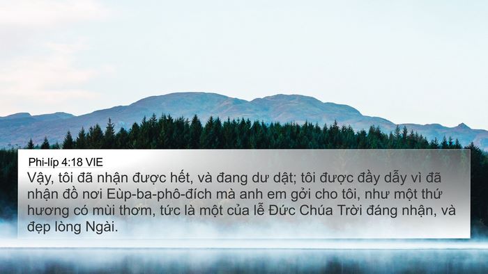 Phi-líp 4:18 VIE Bible Verse Image