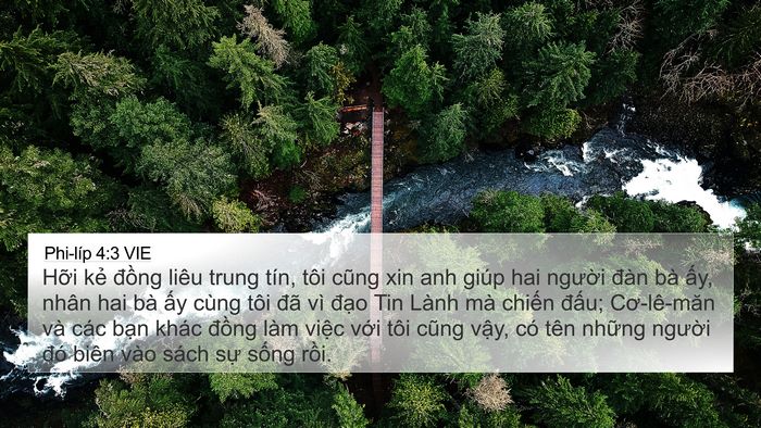 Phi-líp 4:3 VIE Bible Verse Image